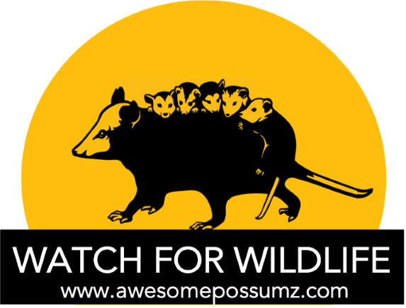 Watch For Wildlife Campaign Decal – Awesome Possumz, LLC